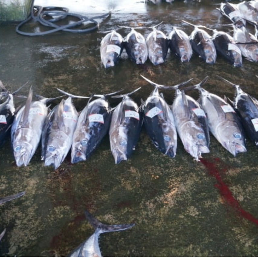 卸売業 O社様 福岡県